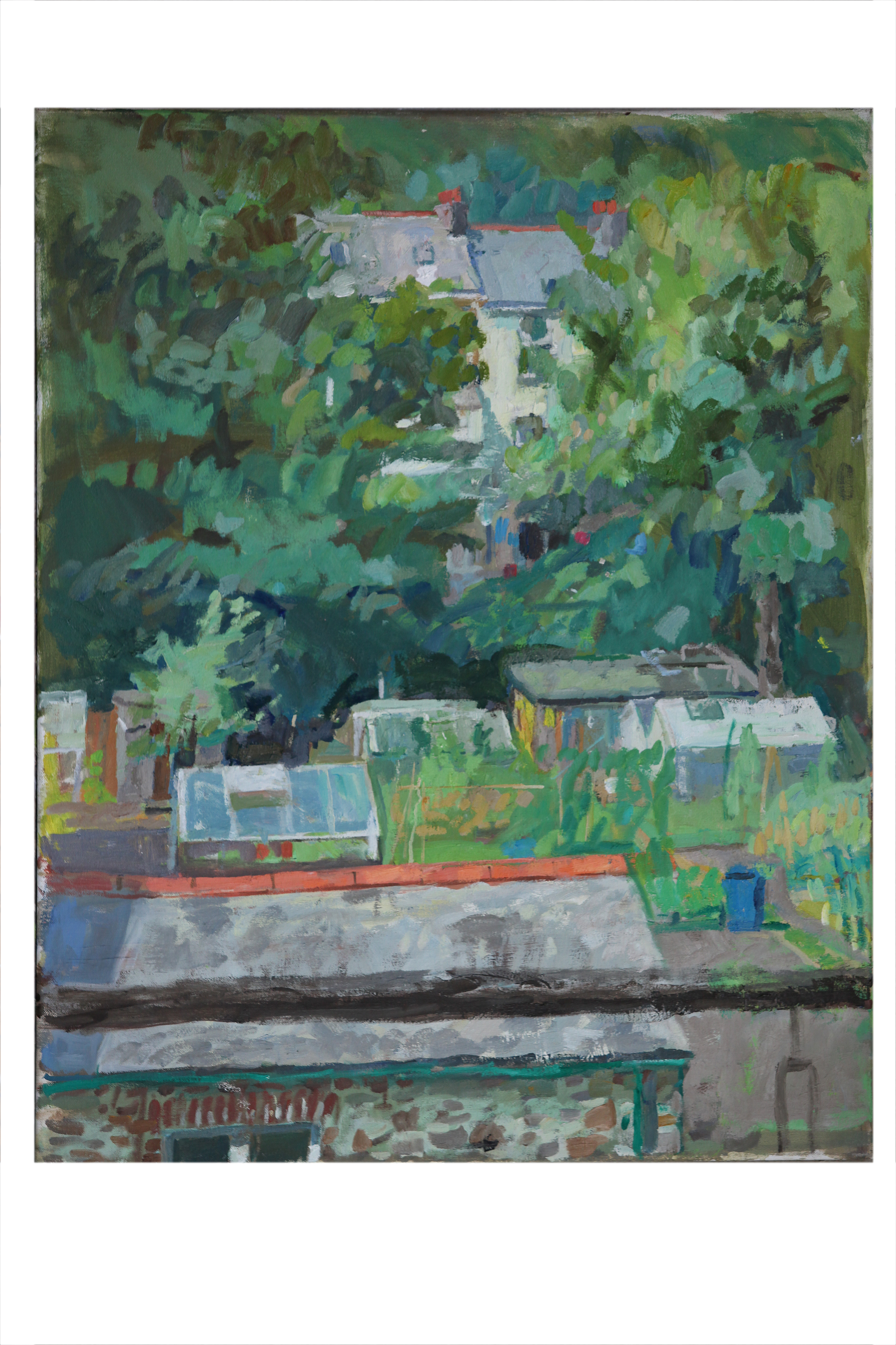Across the allotments, summer,12-1pm_