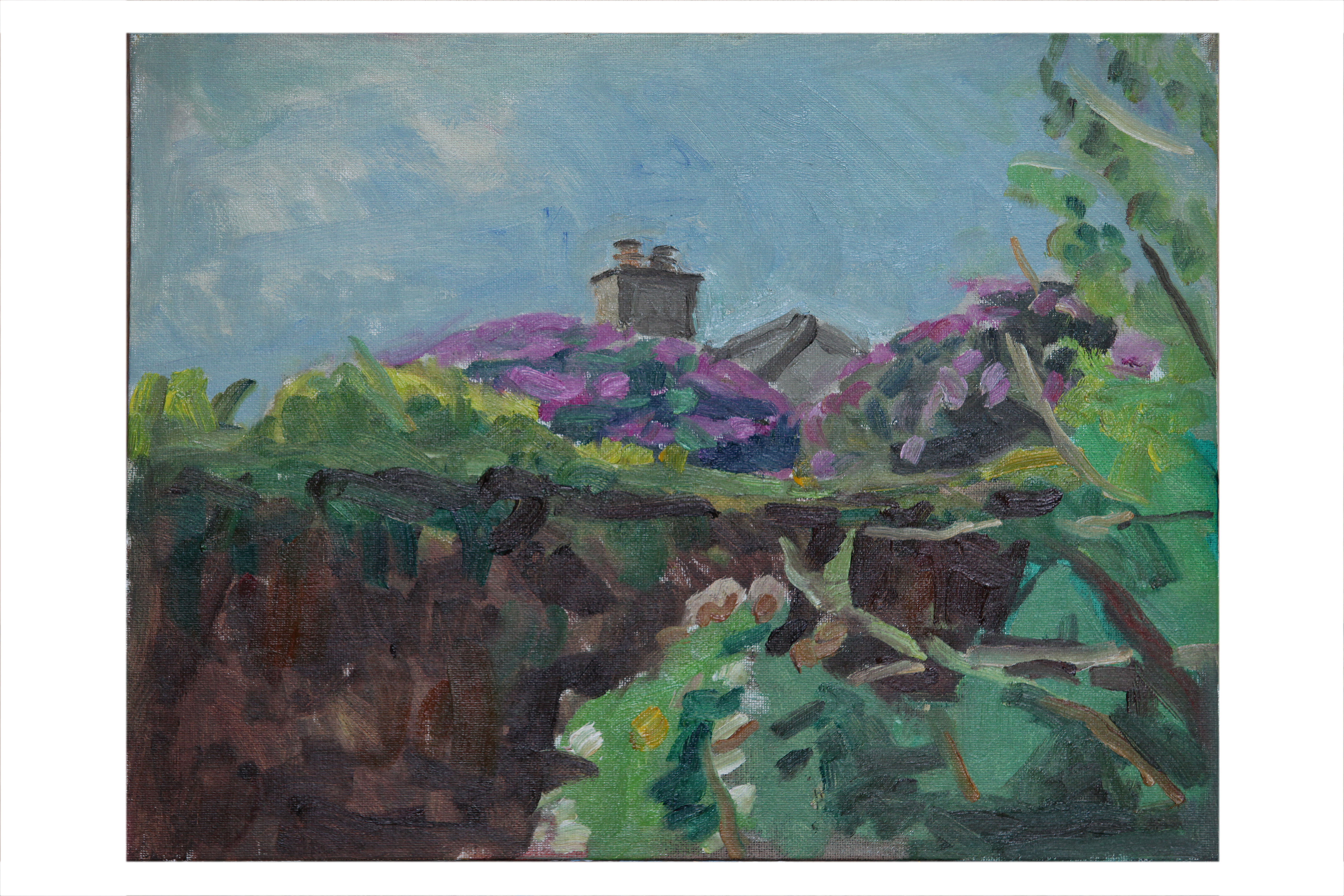 Across Louise's Garden