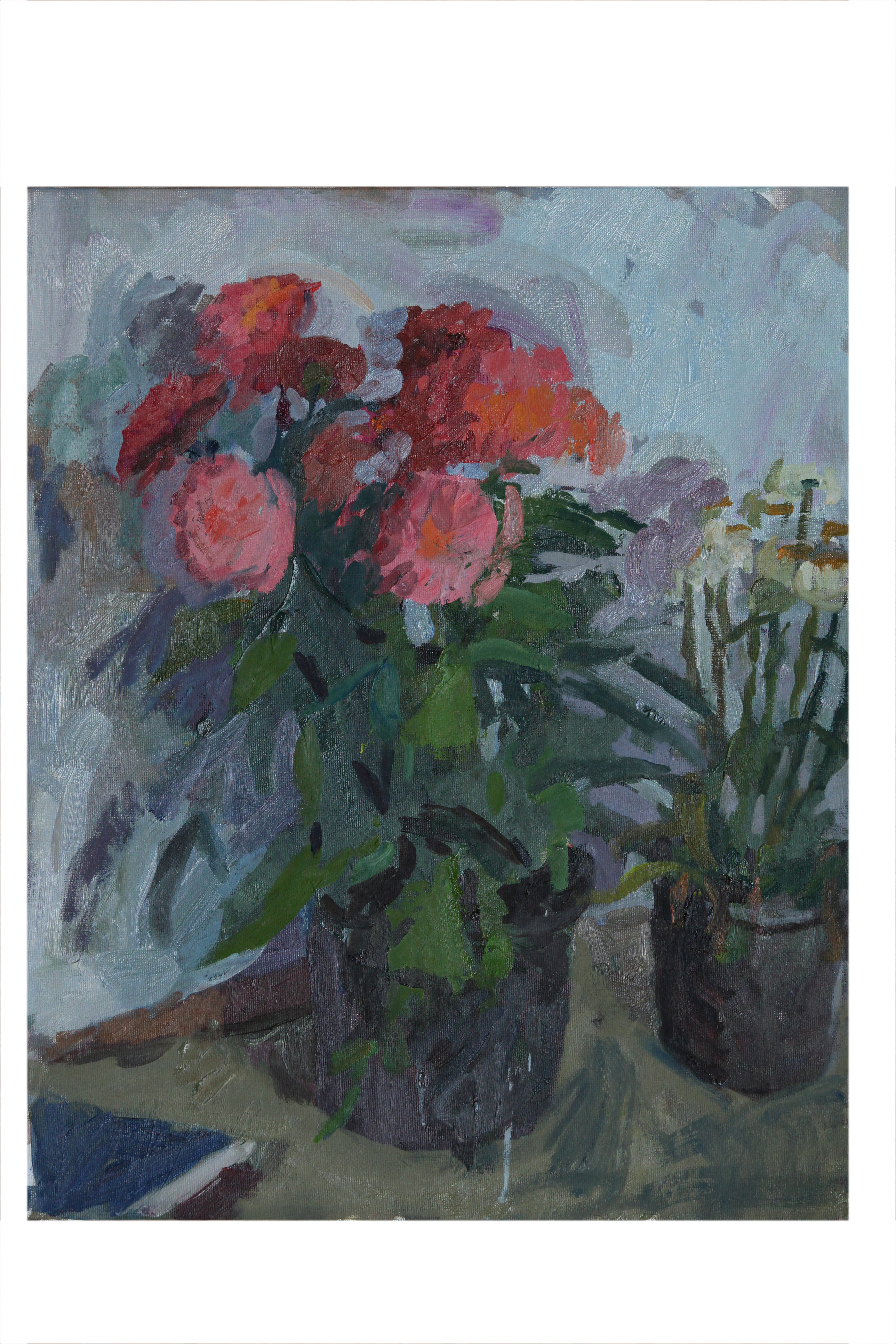 Chrysanthemums