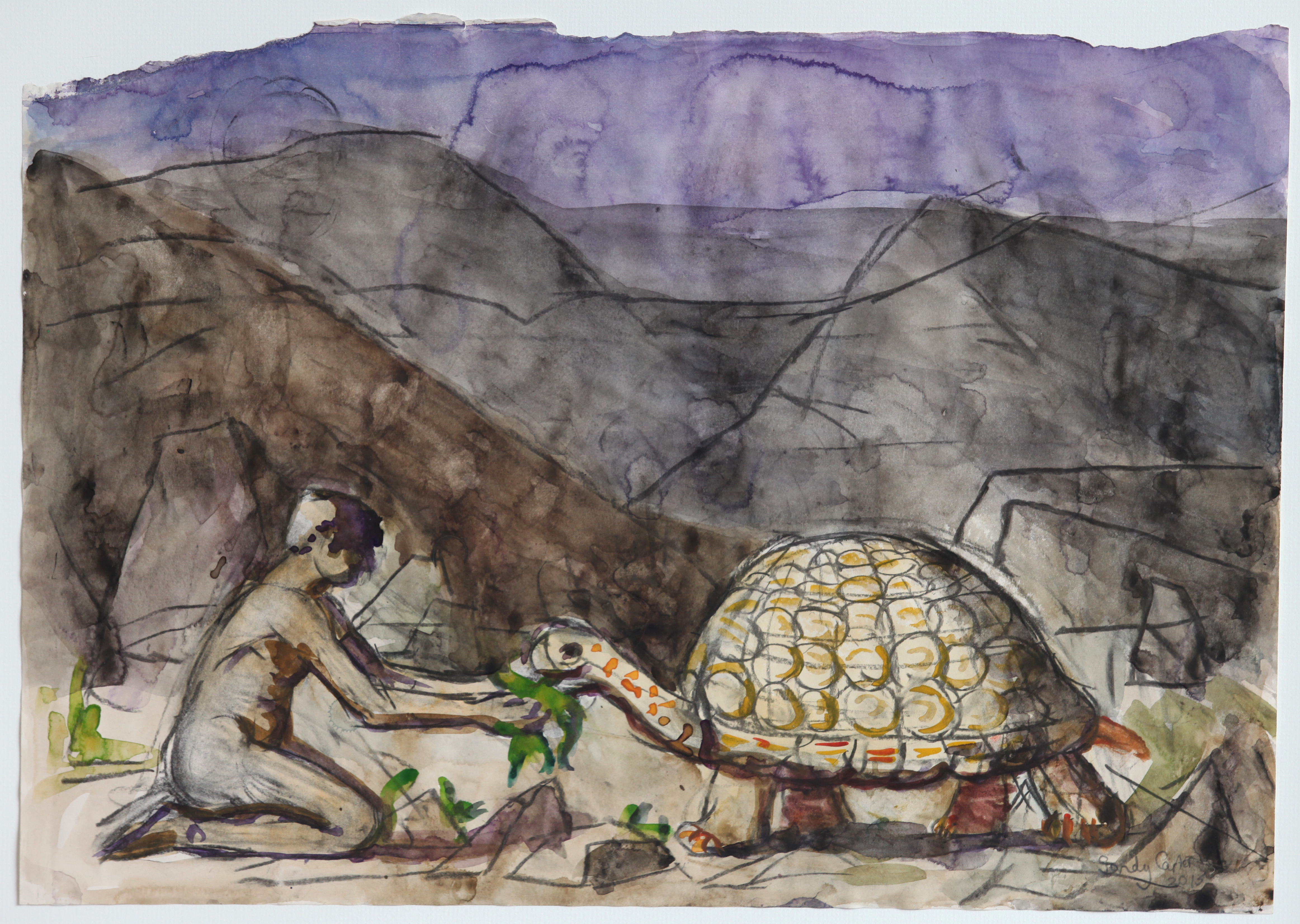 Feeding the Tortoise