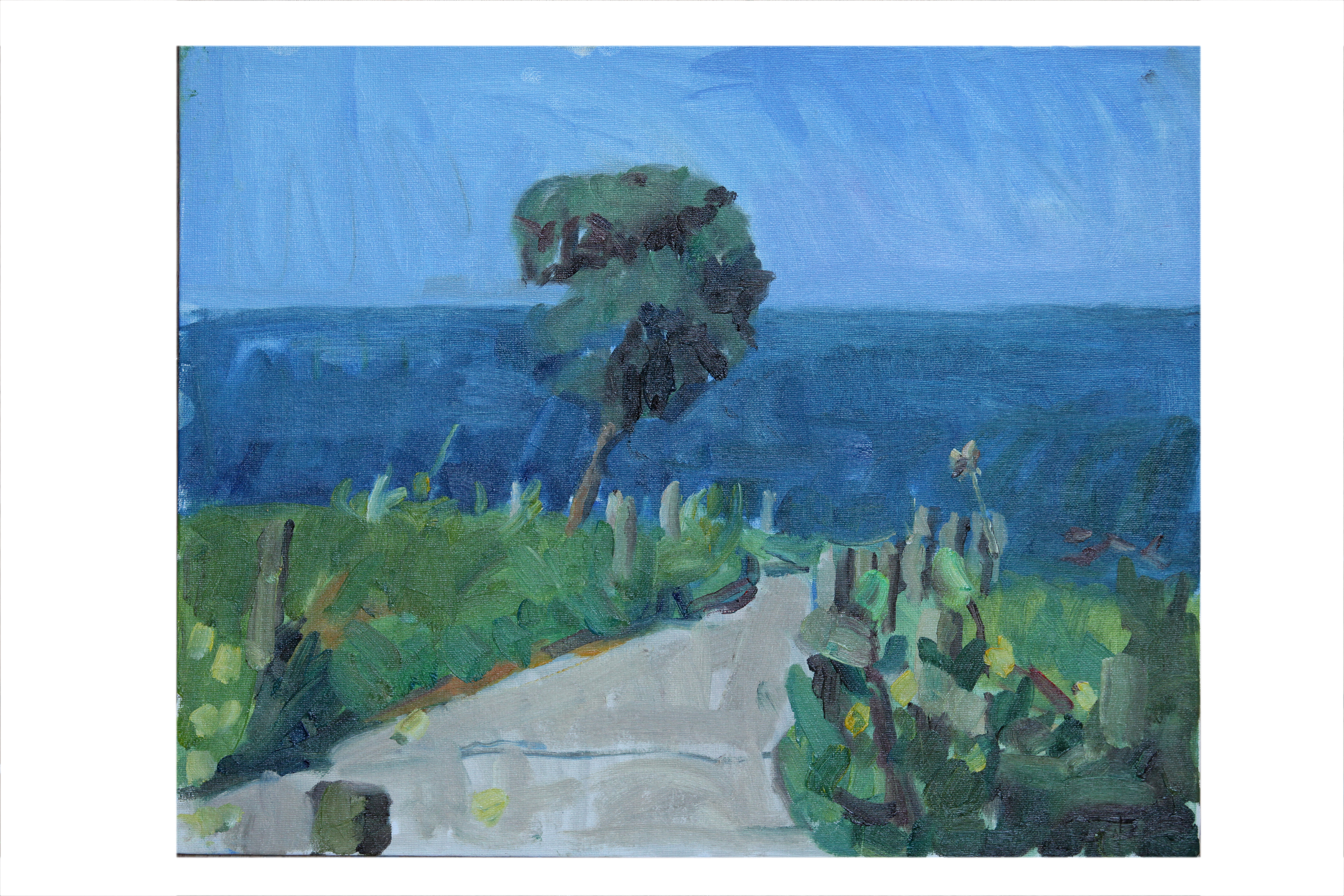 Road to Cué Beach,Asturias