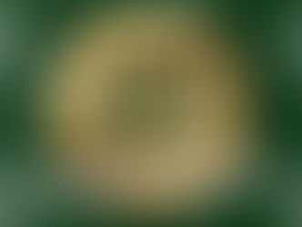 UFC AT ROGERS ARENA: ENTER FOR A CHANCE TO WIN 2 VIP SUITE TICKETS AND WATCH LIVE!