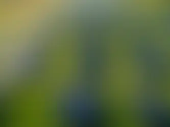 Revolutionizing the Energy Grid: Exploring the Impact of Integrating Blockchain Technology and Decentralized Energy Resources