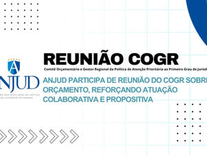ANJUD participa de reunião do COGR sobre orçamento, reforçando atuação colaborativa e propositiva