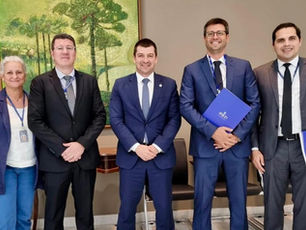 ANJUD REALIZA REUNIÃO COM PRESIDÊNCIA DO TJPR PARA AVANÇAR NAS DEMANDAS DOS AUXILIARES DA JUSTIÇA DE NÍVEL SUPERIOR