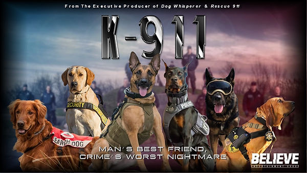 K-911 TV Series