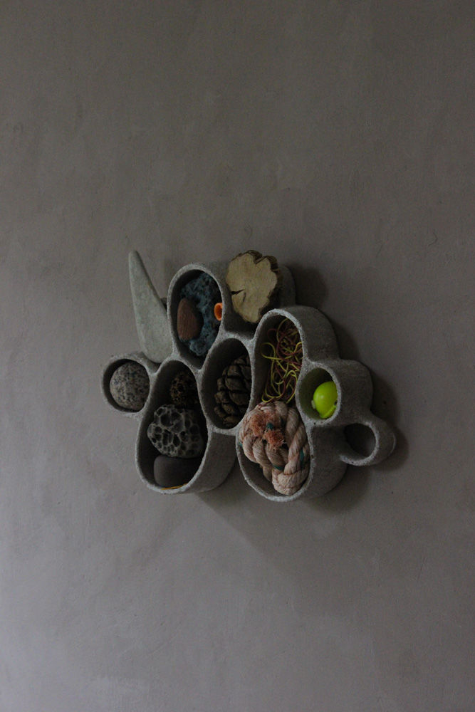 Thumbnail: Daphnia Curiosity Cloud