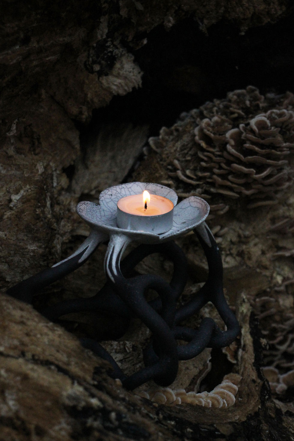 Thumbnail: Mycelium Plinth