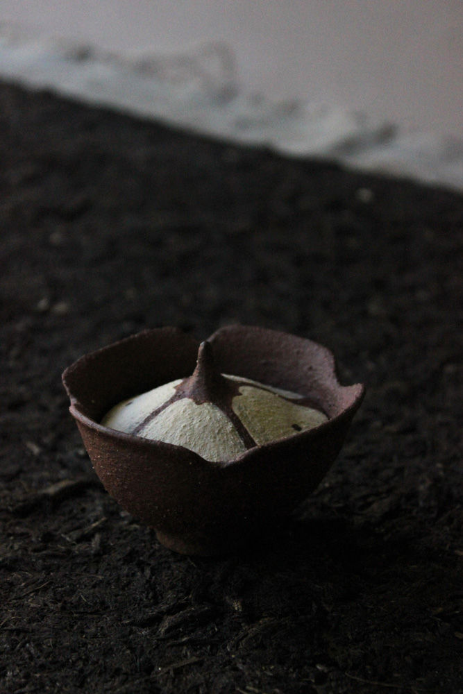 Thumbnail: White Cabbage Butterfly Box
