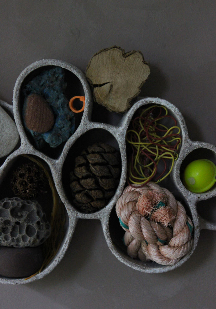 Thumbnail: Daphnia Curiosity Cloud