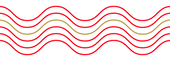 HCS21_Digital_website asset 5 (1).png