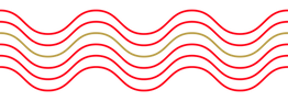 HCS21_Digital_website asset 5 (1).png