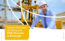 Instructivo para pago PSE