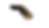 Thumbnail: Colt 1911 El Matadore 38 Super