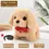 Thumbnail: Electronic walking puppy plush toy battery control