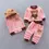 Thumbnail: Newborn baby autumnal clothes+hoodie+pant outfit