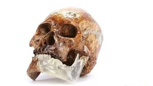 3D掃描&列印技術，重建缺失遺骨