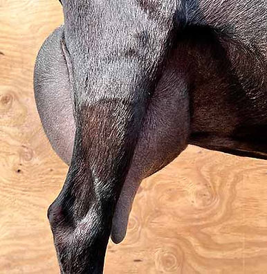 GettyImages-124893619_edited.jpg