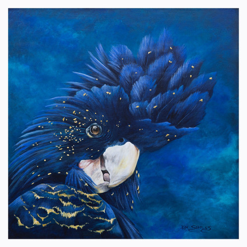 Chuckles the Black Cockatoo | Print | Greeting Card | Kim Staples Art ...