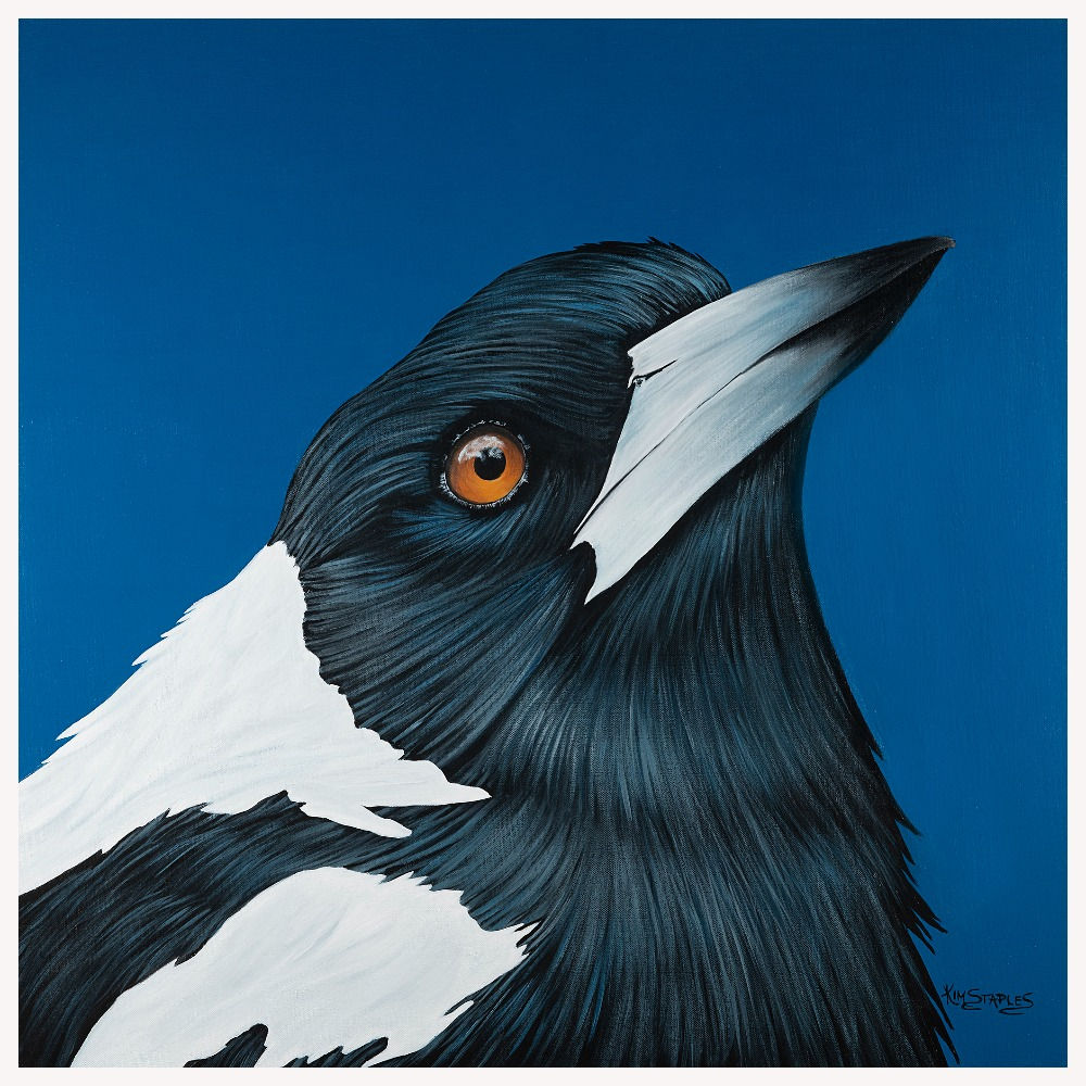 Melody the Magpie | Kim Staples Art | Print or Greeting Card