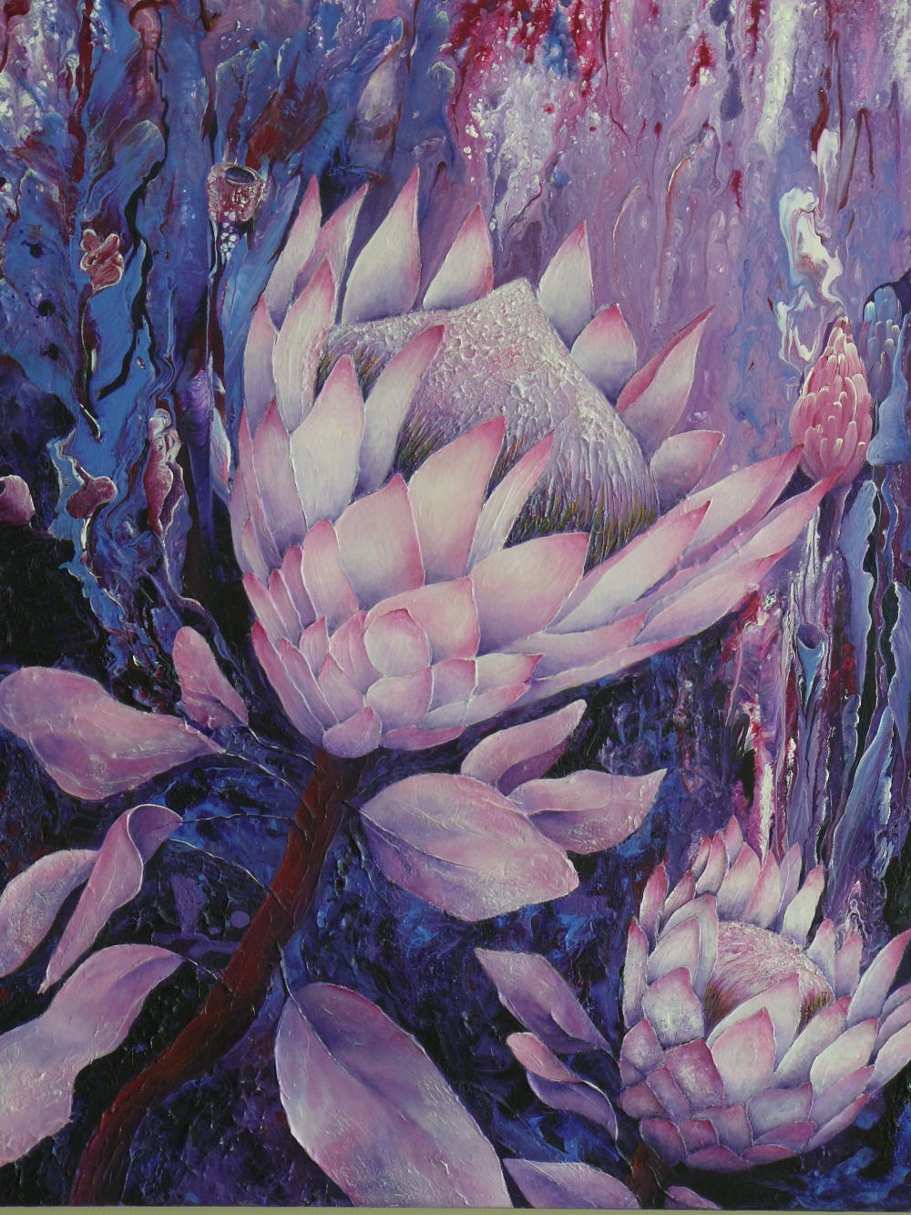 Protea in Bloom | Kim Staples Art | Print or Greeting Card