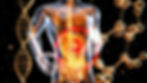 Microbiota