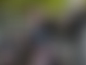 What's On during Easter and Anzac Day