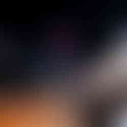 AMSA annual dinner celebrating 185 years of migration history