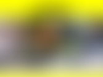 Matador Mining Limited (ASX: MZZ) has a Mega Gold Exploration Project