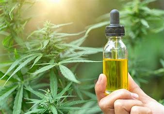cbd oil