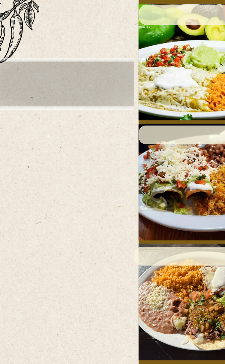 Combination plater, like enchilada plates, taco diner, tamales dinner, or make it your own combo.