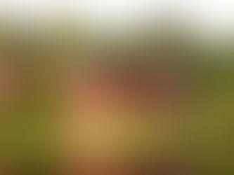 What it's Like Working at Camp Arowhon in Ontario, Canada: An Interview