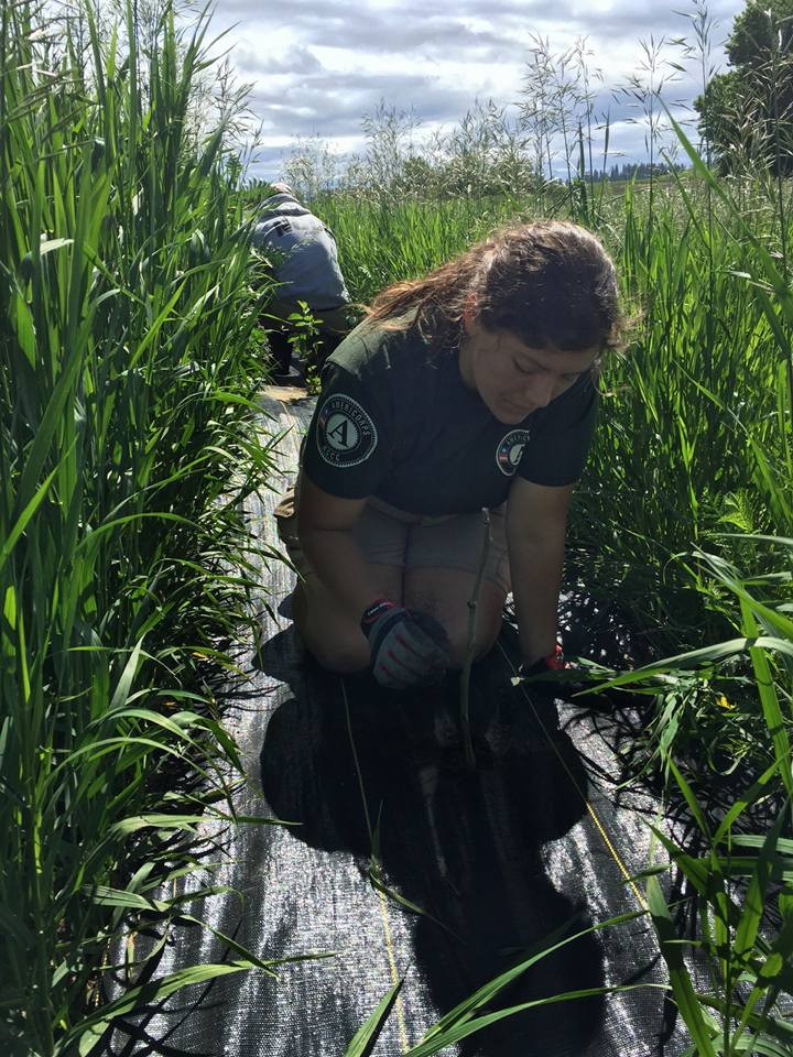 9 Paid Service Year Programs in the U.S.A