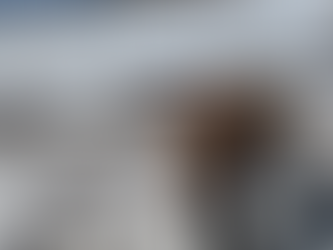 Working on a Guest Ranch for the Winter Season