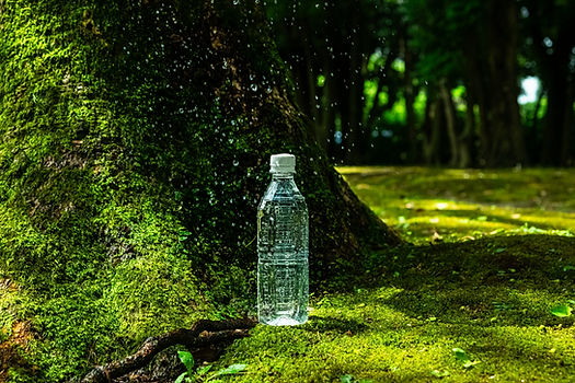森の中の天然水　角ボトル