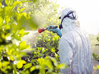 殺虫剤を噴霧する害虫駆除
