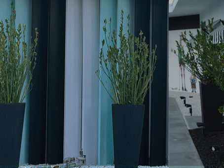 Virgoan Wish at FAIRE Market Jan 21–23