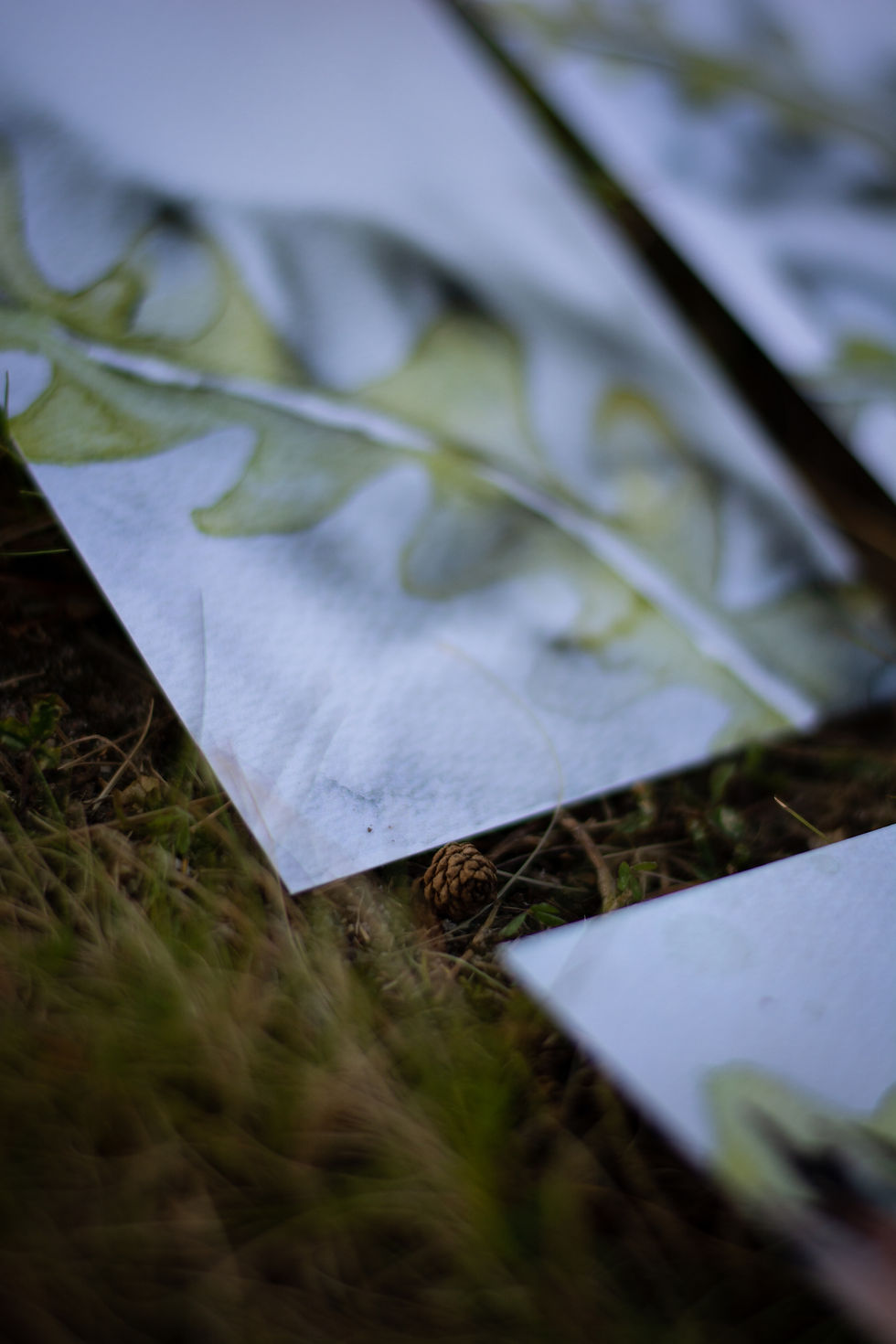 Miniatyrbild: Akvarell kort 8-pack