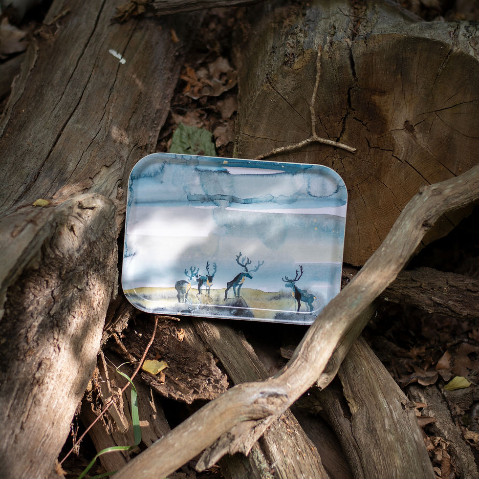 Miniatyrbild: Frukostbricka | Vinternatt | 20x27