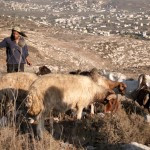 Neriya Zarog; Photo credit: Avraham Shapira
