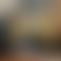 Yitzhar minor visits Knesset