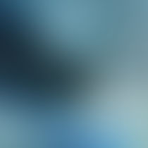 Border policemen filmed minors immersing in a spring