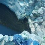 A spring near Yitzhar; Photo credit: Free use