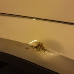 Damaged car; Photo credit: Courtesy of photographer