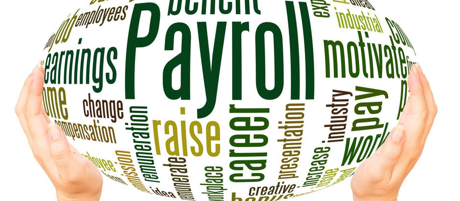 Understanding the Perks of Utilizing an Expert Pay-roll Solution