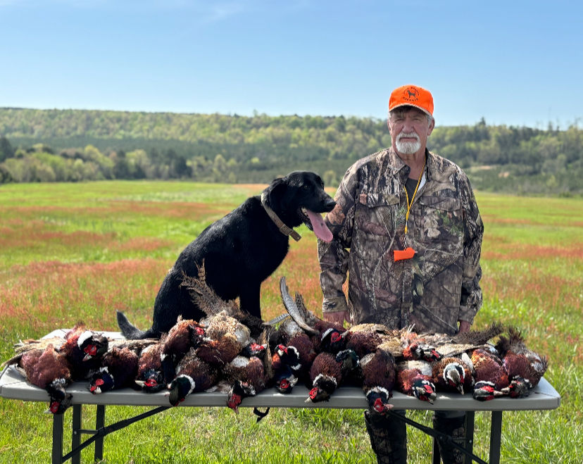 Arkansas Upland Bird Hunting Guide | Guided Pheasant Hunting Arkansas