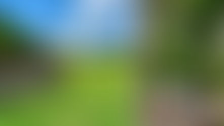 Natchez Trace, Blue Ridge Parkway et les Adirondacks | Retour au Québec par les plus belles routes!