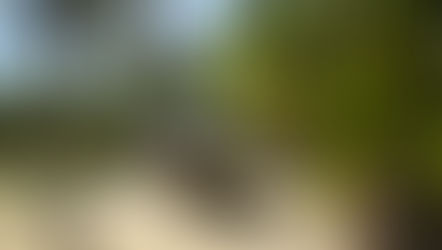 Traverser la frontière américaine avec son VR? - Combien ça coûte?