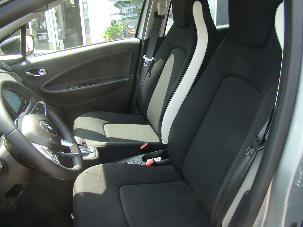 Miniature : RENAULT Zoé R110 Business