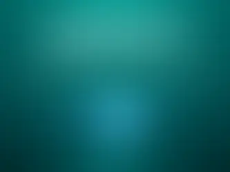 Wat kun je verwachten van een Qest4 Bodyscan?